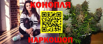 гидропоника Пенза