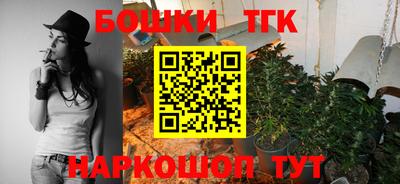 гидропоника Пенза