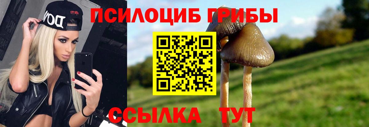 Галлюциногенные грибы Magic Shrooms Сарапул